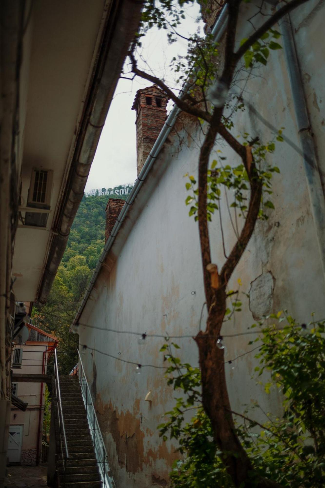 3 Min To Everything-Stylish-Modern-Old Fortress Braşov Extérieur photo